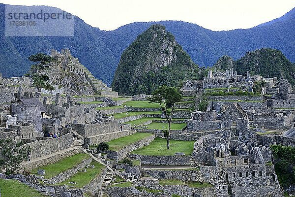 Ruinenstadt der Inka mit Berg Huayna Picchu im Morgengrauen  Machu Picchu  Provinz Urubamba  Peru  Südamerika