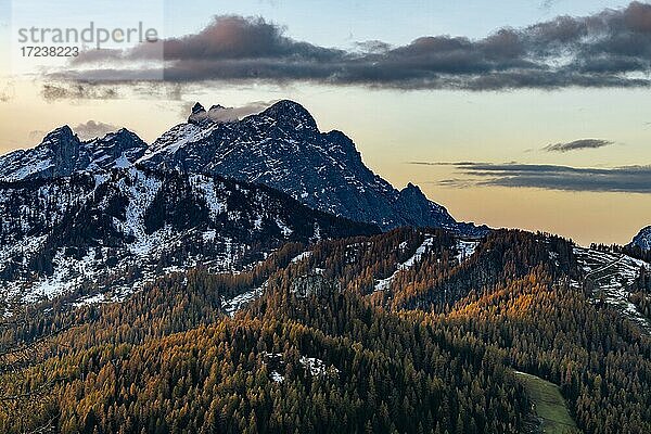 Verschneiter Gipfel der Civetta Gruppe mit herbstlichem Wald im Vordergrund  Zoldo Alto  Val di Zoldo  Dolomiten  Italien  Europa