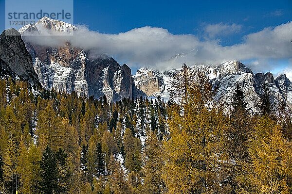 Verschneiter Gipfel der Civetta Gruppe mit herbstlicem Wald im Vordergrund  Zoldo Alto  Val di Zoldo  Dolomiten  Italien  Europa