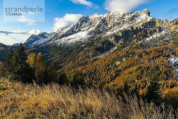 Verschneiter Gipfel der Civetta Gruppe mit herbstlicher Landschaft im Vordergrund  Zoldo Alto  Val di Zoldo  Dolomiten  Italien  Europa