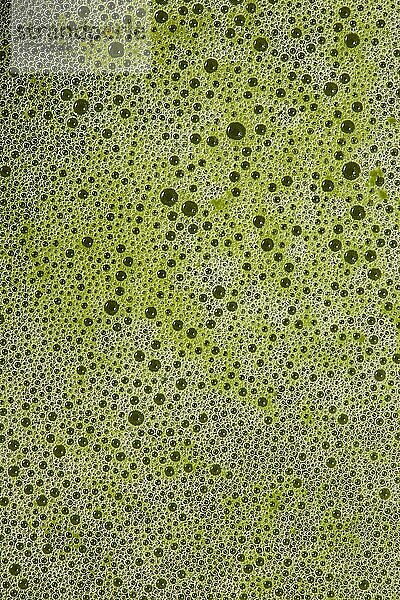 Grüner Matcha-Tee