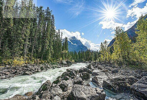 Wildfluss im Yoho Valley  Schönes Wetter  Himmel mit Sonnenstern  gelb verfärbte Bäume im Herbst  Rocky Mountains  Yoho National Park  Provinz Alberta  Kanada  Nordamerika