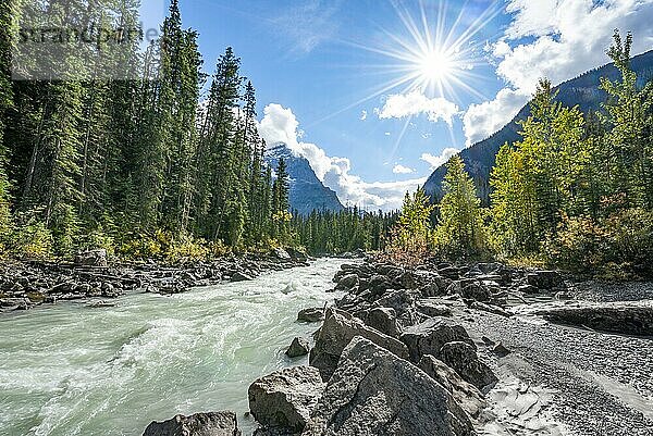 Wildfluss im Yoho Valley  Schönes Wetter  Himmel mit Sonnenstern  gelb verfärbte Bäume im Herbst  Rocky Mountains  Yoho National Park  Provinz Alberta  Kanada  Nordamerika