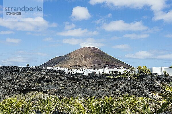 Vulkankegel über den Weinbergen von Lanzarote  Kanarische Inseln