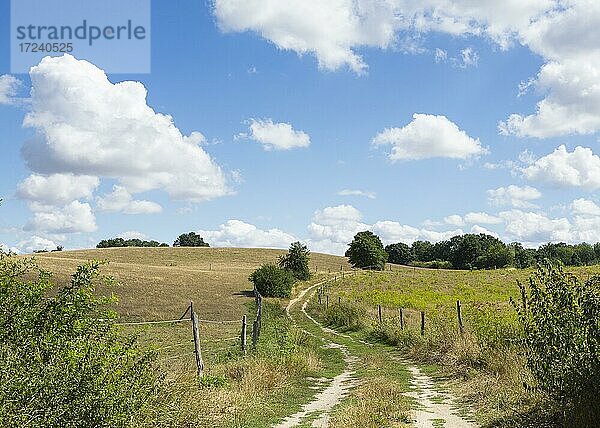 Feldweg durch die hügelige Landschaft  Grumsiner Forst  Angermünde  Brandenburg  Deutschland  Europa