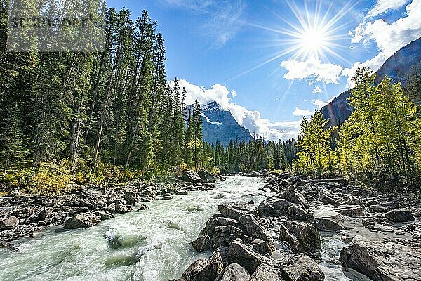 Wildfluss im Yoho Valley  Schönes Wetter  Himmel mit Sonnenstern  gelb verfärbte Bäume im Herbst  Rocky Mountains  Yoho National Park  Provinz Alberta  Kanada  Nordamerika