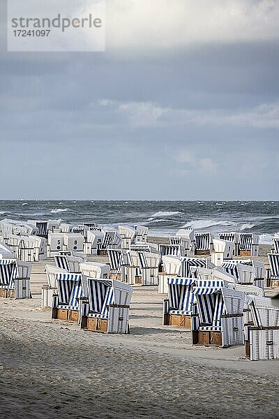 Strandkörbe am Weststrand  Sylt  Nordfriesische Insel  Nordsee  Nordfriesland  Schleswig-Holstein  Deutschland  Europa