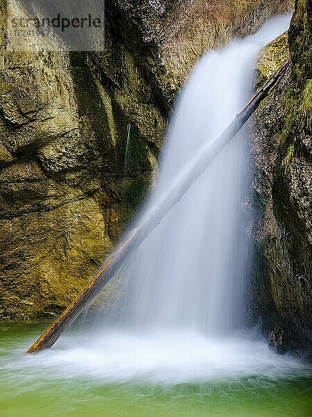 Baumstamm liegt in einem Wasserfall der Almbachklamm  Marktschellenberg  Berchtesgadener Land  Oberbayern  Bayern  Deutschland  Europa