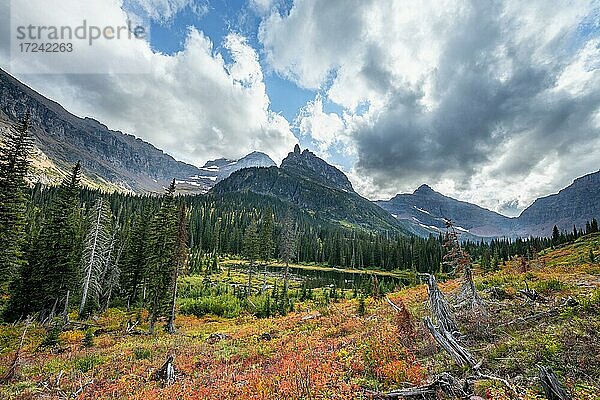 Blick auf Berge Lone Walker Mountain und Mount Rockwell mit Büschen in Herbstfarben  Wanderung zum Upper Two Medicine Lake  Glacier Nationalpark  Montana  USA  Nordamerika