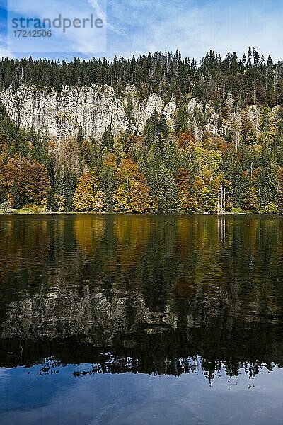 Herbstwald mit Spiegelung  Feldsee  Feldberg  Schwarzwald  Baden-Württemberg  Deutschland  Europa