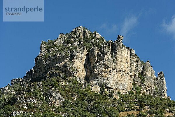Felsen an der Tarn-Schlucht bei Le Rozier  Gorges du Tarn  Parc National des Cévennes  Nationalpark Cevennen  Lozère  Languedoc-Roussillon  Okzitanien  Frankreich  Europa