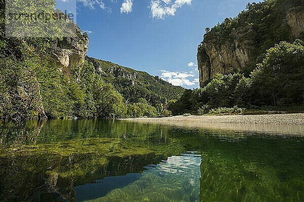 Tarn-Schlucht bei Le Rozier  Gorges du Tarn  Parc National des Cévennes  Nationalpark Cevennen  Lozère  Languedoc-Roussillon  Okzitanien  Frankreich  Europa