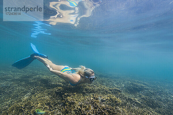 Unterwasseransicht einer jungen Frau beim Tauchen in der Javasee