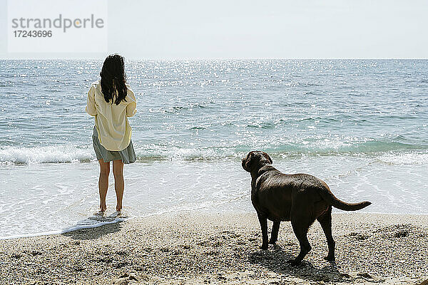 Labradorhund  der am Wochenende eine Frau am Strand beobachtet