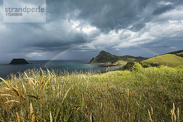 Der Regenbogen wölbt sich gegen die Gewitterwolken  die sich über der Küste der Coromandel-Halbinsel sammeln