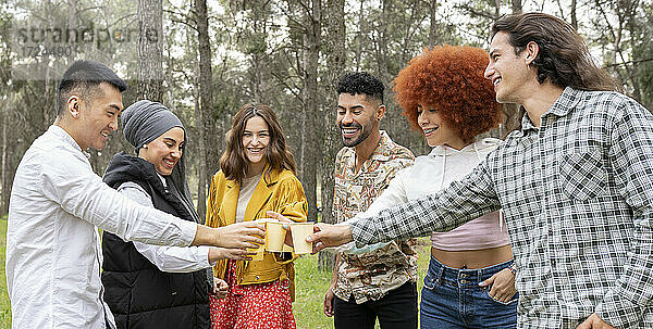 Männliche und weibliche Freunde stoßen mit Gläsern an  während sie ein Picknick im Wald feiern