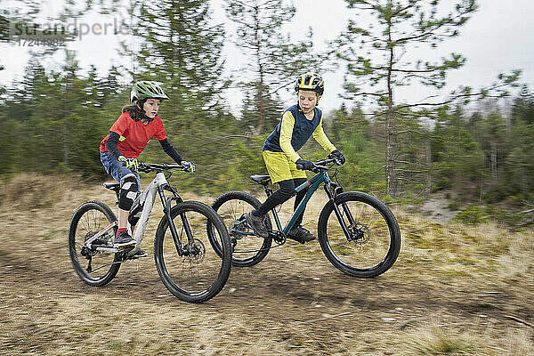Brüder fahren Fahrrad auf unbefestigtem Weg im Wald