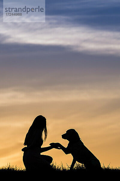 Junge Frau mit Labrador Retriever bei Sonnenuntergang