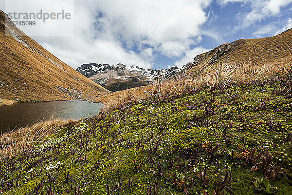 Kleiner See in Arthurs Pass  Südinsel  Neuseeland