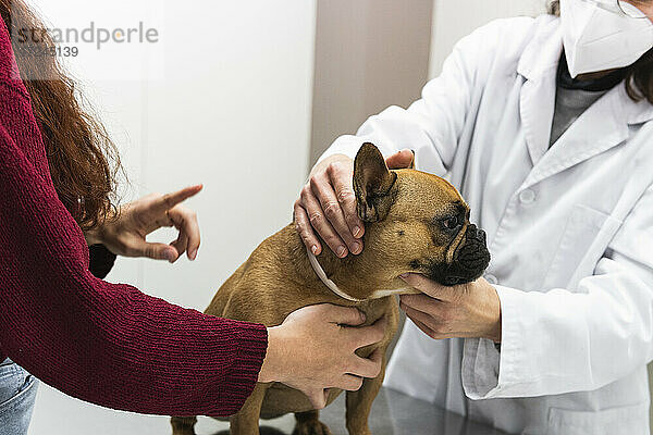 Tierhalterin mit Hund in der Tierklinik