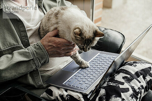 Älterer Mann hält Katze über Laptop zu Hause