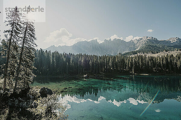 Karersee zwischen Bäumen an einem sonnigen Tag in Südtirol  Italien