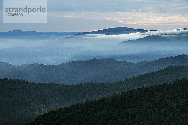 Blick vom Hochblauen auf die umliegenden Berge bei nebliger Morgendämmerung