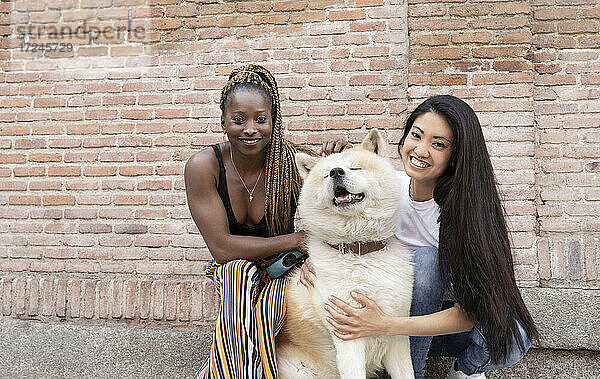 Multiethnische Freundinnen mit Akita-Hund an einer Ziegelmauer
