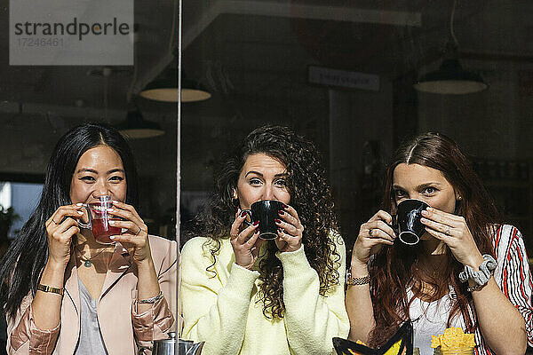 Weibliche Freunde trinken gemeinsam Kaffee im Cafe