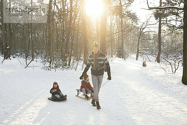 Vater zieht seine Söhne auf einem Schlitten im Schnee sitzend an einem sonnigen Tag