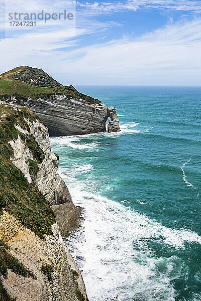 Neuseeland  Südinsel  Cliffs of Cape Farewell