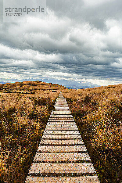 Neuseeland  Südinsel  Fiordland National Park  Boardwalk durch Wildnisgebiet