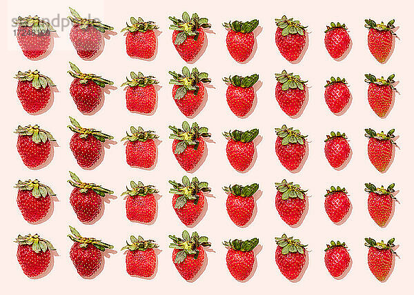 Muster von frischen reifen Erdbeeren vor einem hellrosa Hintergrund