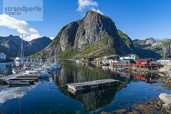 Nach Bergen geordnete Boote im Hafen von Reine  Lofoten  Norwegen