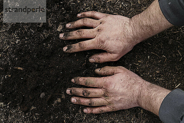 Schmutzige Hände eines erwachsenen Mannes auf landwirtschaftlichen Flächen