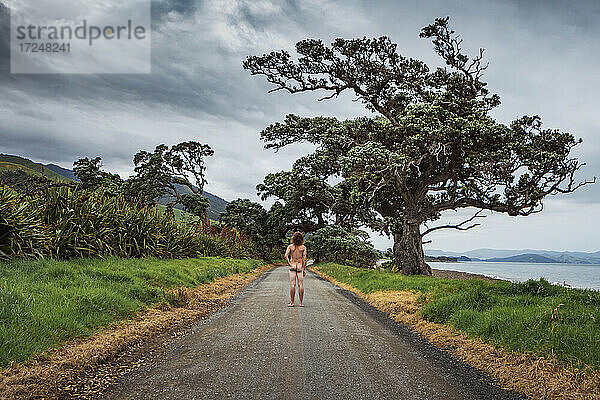 Neuseeland  Nordinsel  Coromandel  Rückansicht eines Mannes auf der Straße mit Blick auf die Jackson Bay