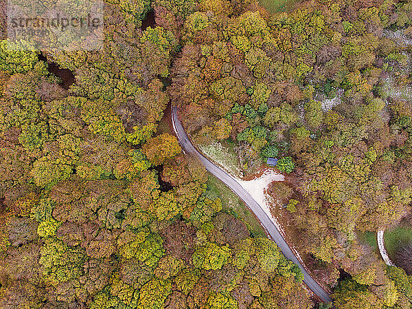 Luftaufnahme einer Autobahn  die durch den herbstlichen Wald im Monte Cucco Park  Umbrien  Italien  führt