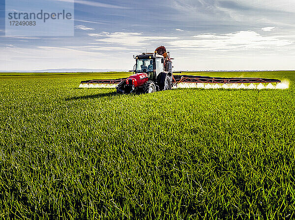 Traktor beim Sprühen von Pestiziden auf einem grünen landwirtschaftlichen Feld