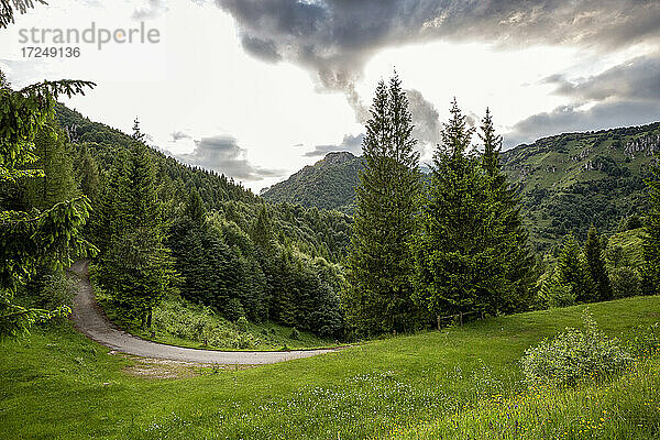 Leere Straße inmitten von Pinien und Bergen in der Provinz Brescia  Lombardei  Italien