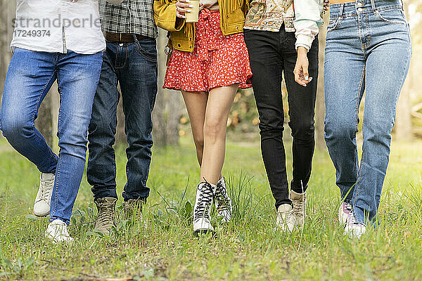 Männliche und weibliche Freunde gehen durch eine Wiese im Wald