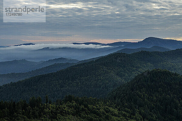 Blick vom Hochblauen auf die umliegenden Berge bei nebliger Morgendämmerung