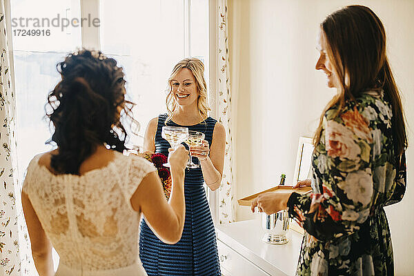 Weibliche Freunde stoßen mit einem Glas im häuslichen Raum an