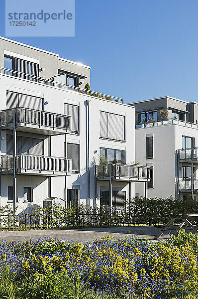 Deutschland  Nordrhein-Westfalen  Köln  Moderne Wohnblocks mit Balkonen und gemeinschaftlichem Gartenbau