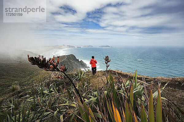 Alleinstehender Mann bewundert den Blick auf den Pazifik vom Rand der Küstenklippe am Cape Reinga