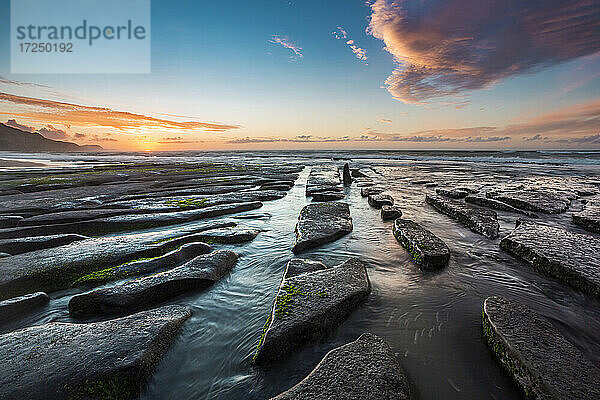 Neuseeland  Südinsel  Felsenküste bei Sonnenuntergang