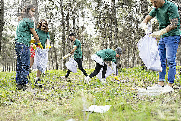 Freunde sammeln Plastikmüll im Wald