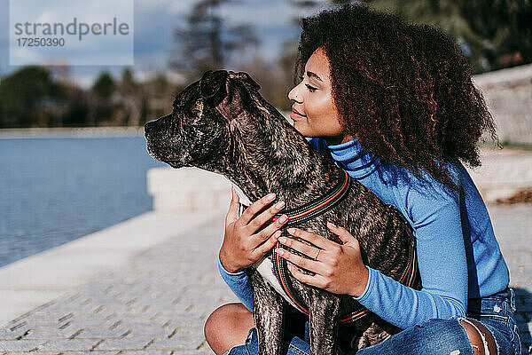 Frau mit lockigem Haar schaut weg  während sie mit einem American Pit Bull Terrier an einem sonnigen Tag sitzt