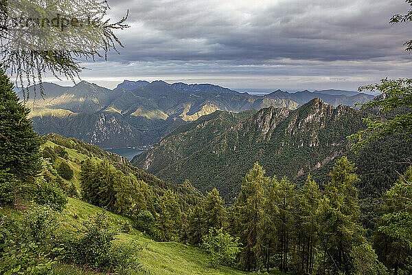 Tal in der Nähe des Idrosees und des Gardasees am Wald in der Provinz Brescia  Lombardei  Italien