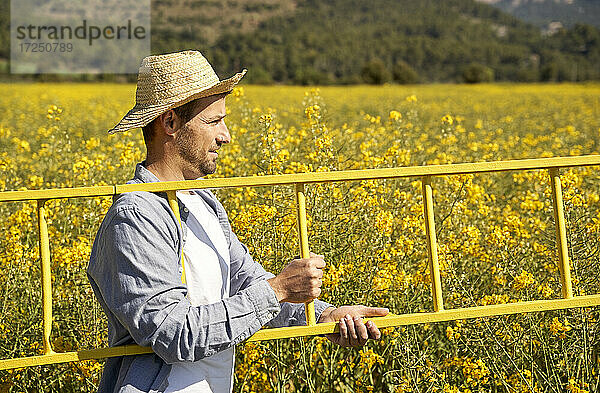 Junger Mann mit Strohhut  der eine Leiter in einem gelben Feld hält