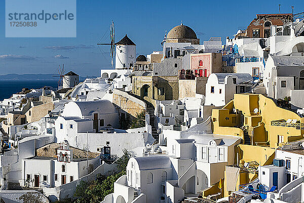 Griechenland  Santorini  Oia  Hohe Winkel Ansicht der Dörfer weiß getünchten Architektur mit Windmühlen